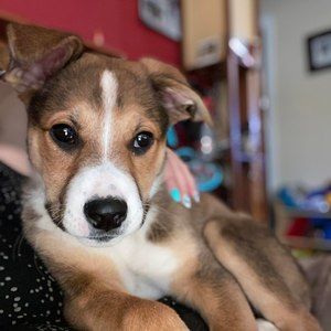 Meet your Posher, Corrine